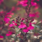 CCTV5风云足球频道高清赛事直播 aw58yps1ai