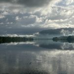 金公主娱乐如何打造明星与粉丝之间的亲密关系 xei7r3